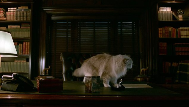 Ma vie de chat - EXTRAIT VF Le message