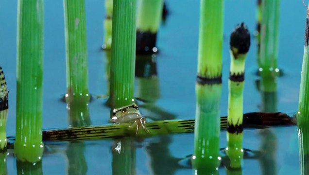 La Clé des champs Extrait vidéo VF