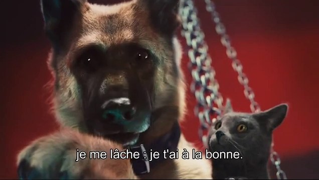 Comme chiens et chats - La Revanche de Kitty Galore Extrait vidéo (2) VO