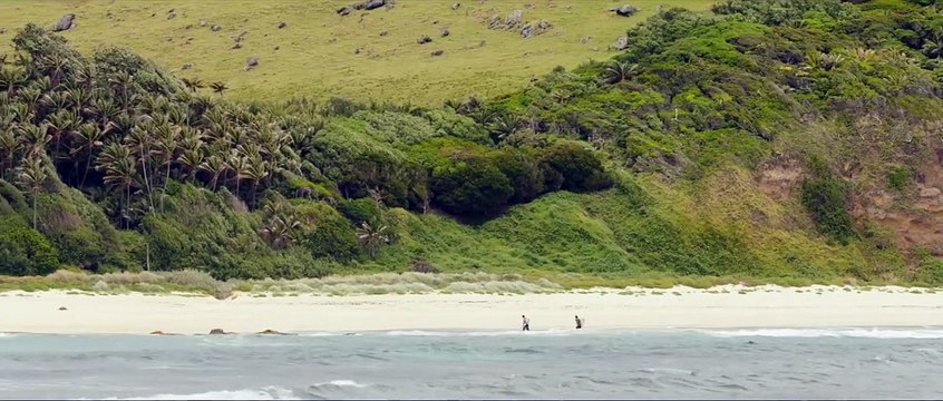 Instinct de survie - The Shallows - EXTRAIT VOST L'attaque
