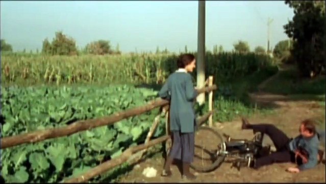 Milk Bande-annonce VO