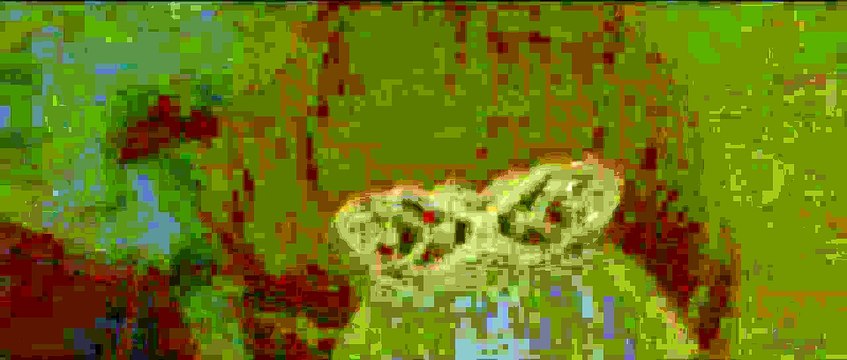 Twilight - Chapitre 4 : Révélation 1ère partie Extrait vidéo (3) VF