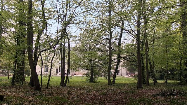 Au jour le jour, à la nuit la nuit Bande-annonce VF