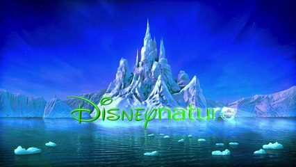 Félins Bande-annonce VF