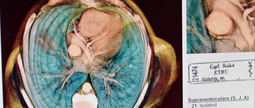 The Gambler Bande-annonce VO