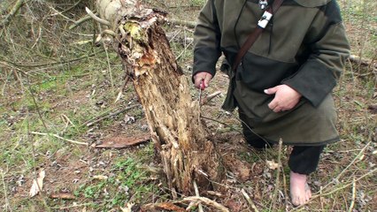 Finding and using Fatwood (2022)