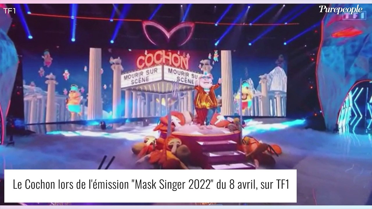 Mask Singer - le Cochon : Tous les indices dévoilés