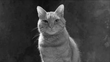 Joséphine Extrait vidéo VF