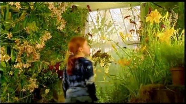 Le Papillon Bande-annonce VF