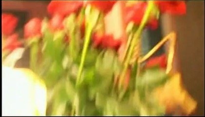 Les Baigneuses Bande-annonce VF