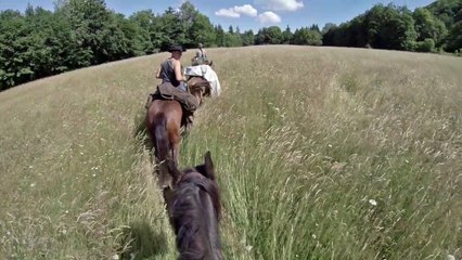 Beyond our arena Bande-annonce VF