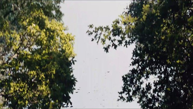 Noé - EXTRAIT VOST Ça commence