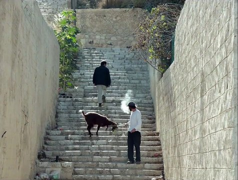 L'Esprit de l'escalier - EXTRAIT VOST Les escaliers