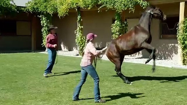 50 To 1 Bande-annonce VO