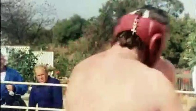 Cul et chemise Bande-annonce VF