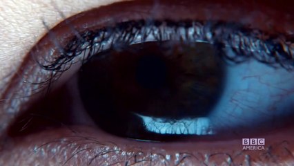 Orphan Black - saison 4 Teaser VO