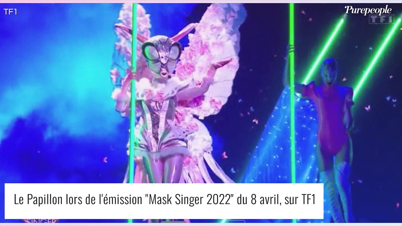 Mask Singer le Papillon Tous les indices dévoilés Vidéo Dailymotion