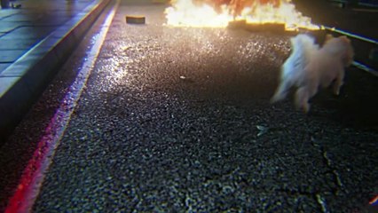 C&#039;est quoi un film doudou ? La réponse d&#039;un spécialiste !