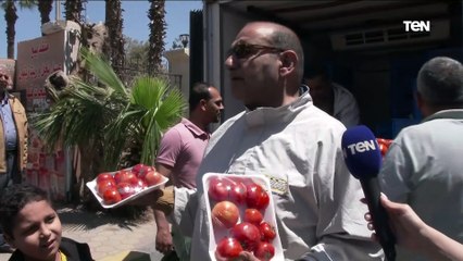 "مجنونة يا قوطة".. في الفيديو ده هنقولك ازاي تجيب كيلو الطماطم بأسعار أقل من السوق بقيمة 30%