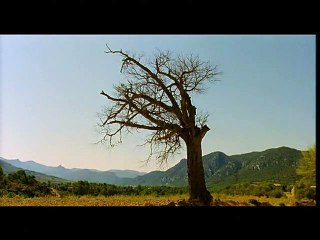 Jours d&#039;août Extrait vidéo VO
