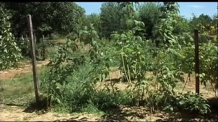 Le dernier des fous Extrait vidéo VF