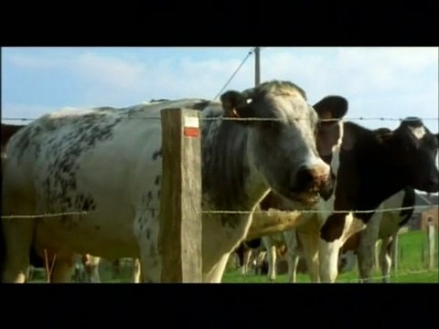 En territoire indien Bande-annonce VF