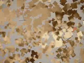 KUKU & KIKI: Mon cœur ne bat que pour eux ❤️