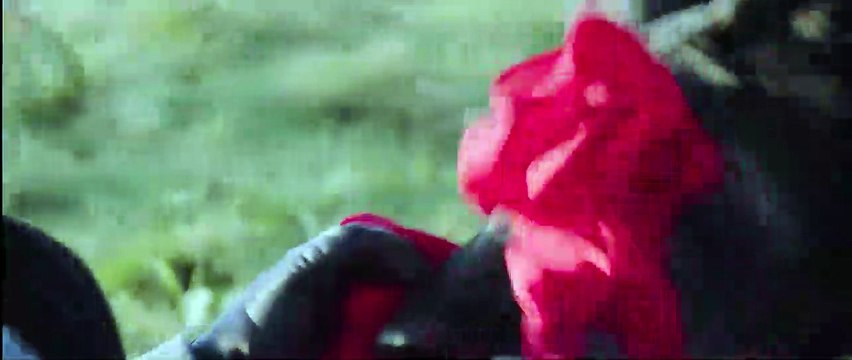 In Fabric EXTRAIT VO Attaque