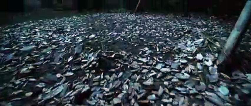 Conjuring 2 : Le Cas Enfield Teaser VO