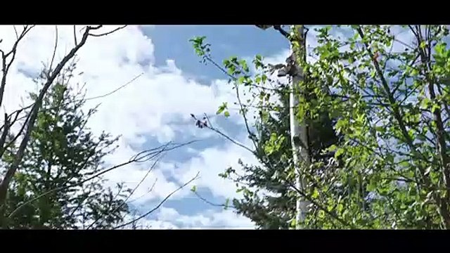 À la poursuite de demain - EXTRAIT VOST L'attaque de la maison