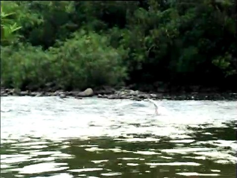 Les Ames errantes Extrait vidéo (3) VO