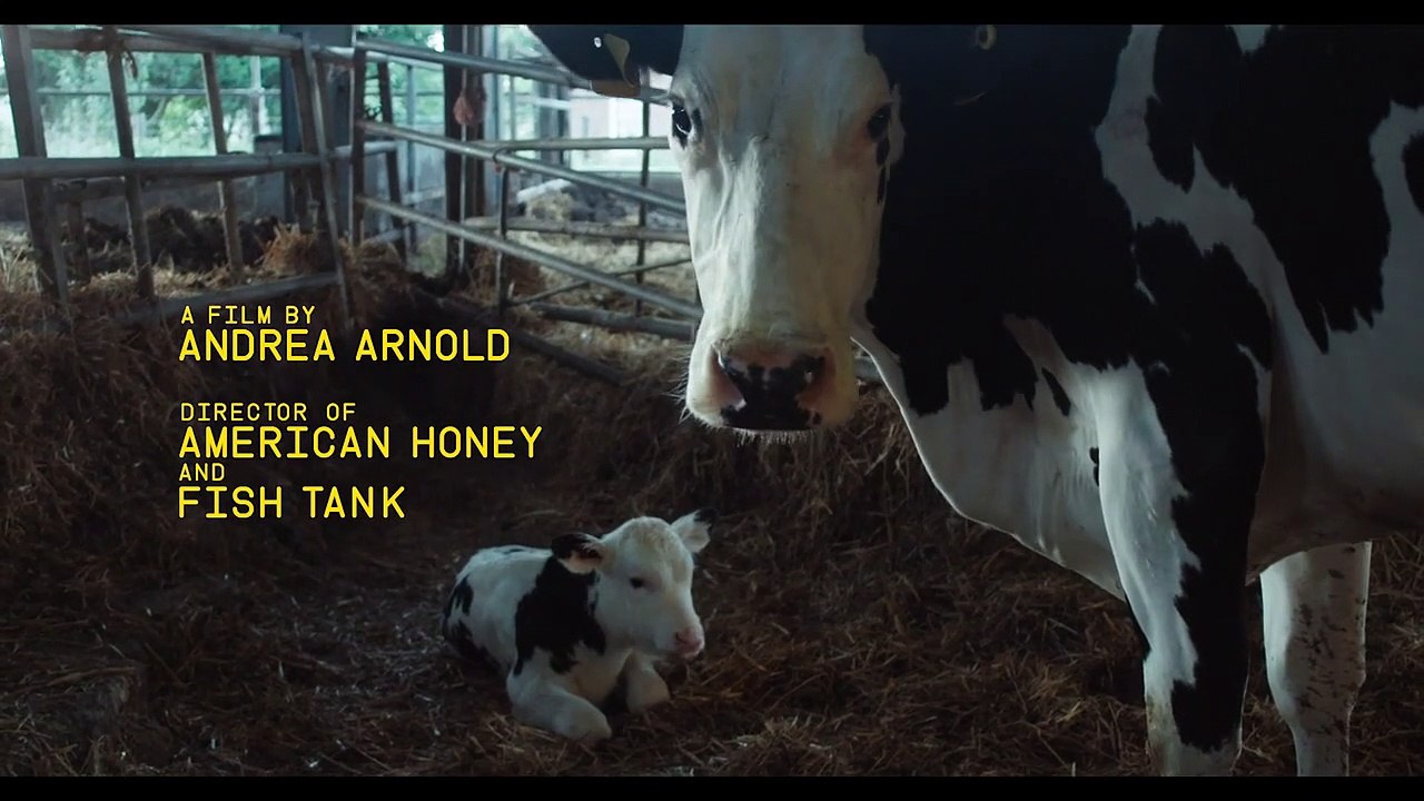 Cow Bande-annonce VO