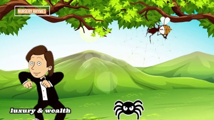 itsy bitsy spider - nursery rhymes