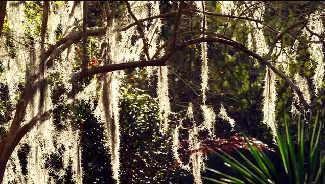 The Haunting in Connecticut 2: Ghosts of Georgia Bande-annonce VF