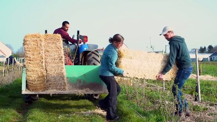 Alors, tu trouves ? Bande-annonce VF