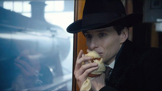 The Danish Girl - EXTRAIT VOST Le train