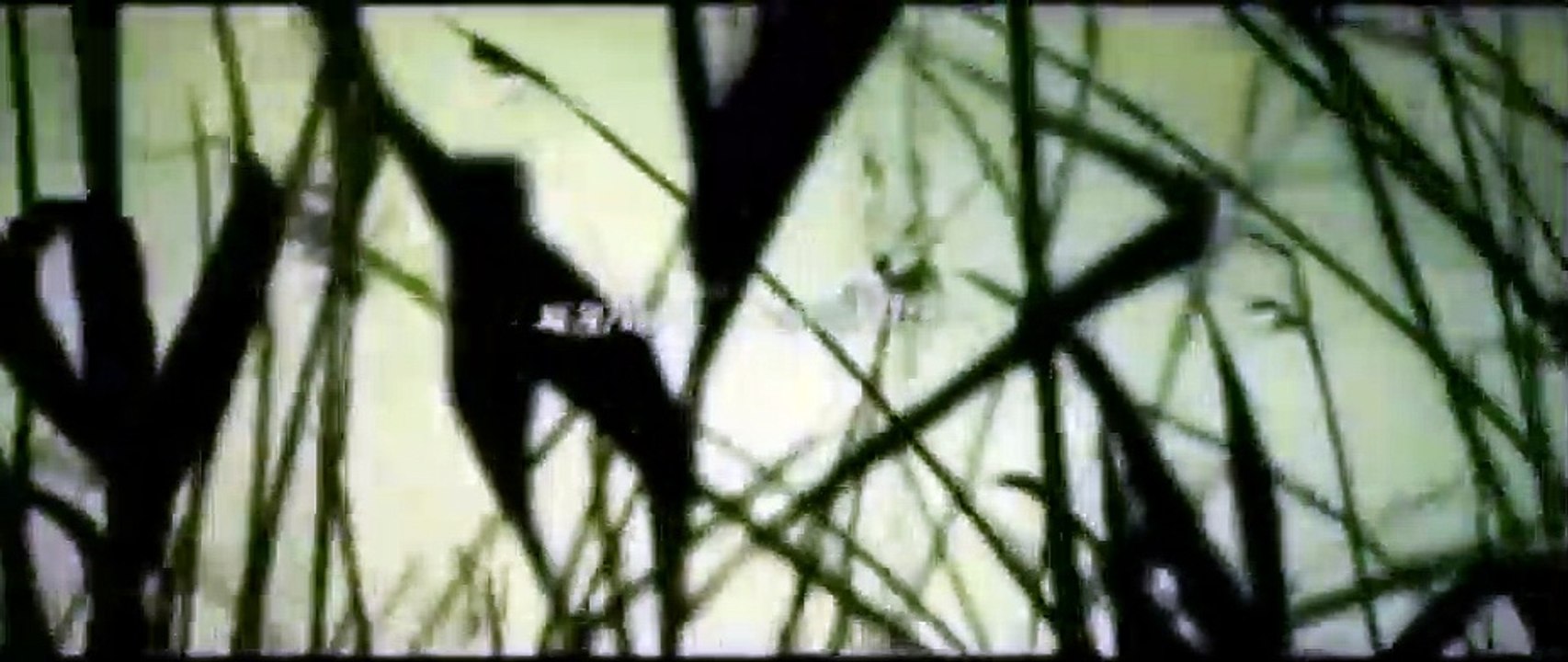 No Mercy Bande-annonce VO