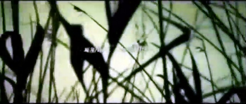 No Mercy Bande-annonce VO