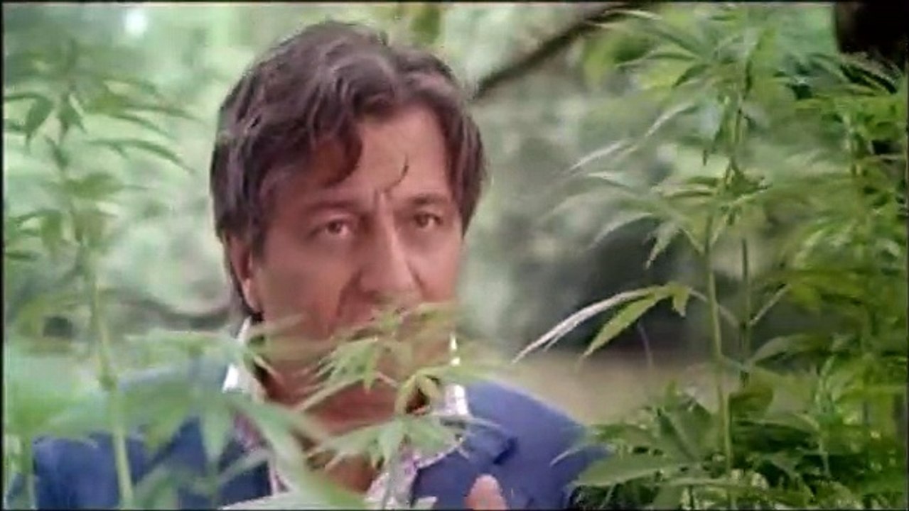 Albert est méchant Teaser (3) VF