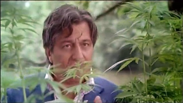 Albert est méchant Teaser (3) VF