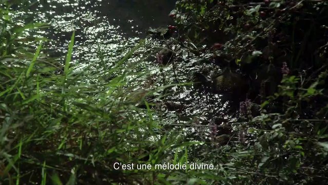 Peace to Us in Our Dreams Bande-annonce VO