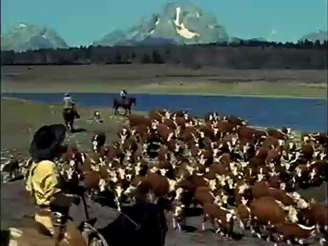 L'Homme de nulle part Bande-annonce VO