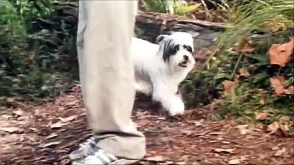 Le Secret de Terabithia Extrait vidéo (2) VF