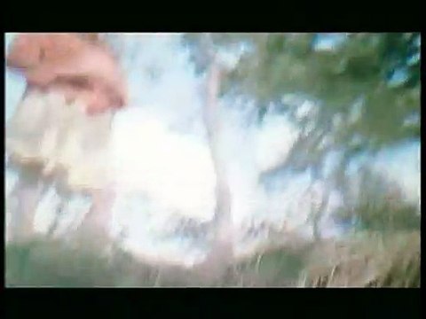 La Fin du règne animal Bande-annonce VF