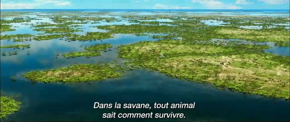 Download Video: Animaux et Cie Bande-annonce VO