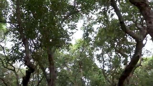 Le Goût du secret Bande-annonce VF