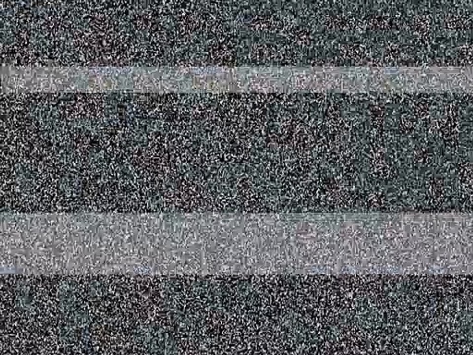 Gerard Butler Interview : 300