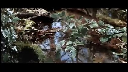 La Fille de Ryan Bande-annonce (2) VO