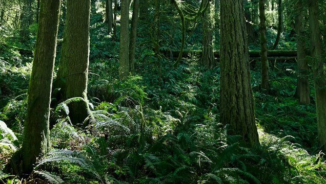 Leave No Trace EXTRAIT VO C'est pas un exercice