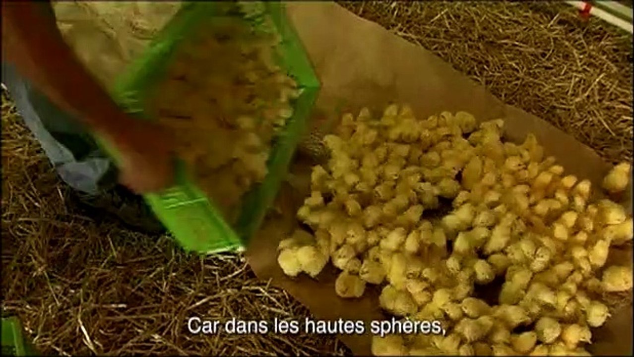 We Feed the World - le marché de la faim Extrait vidéo (6) VO